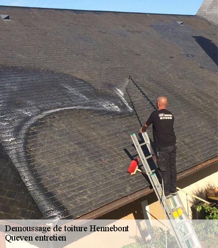 Demoussage de toiture-1
