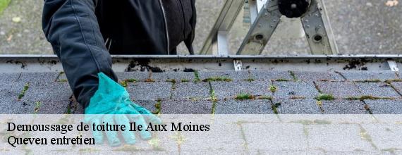 Demoussage de toiture  ile-aux-moines-56780 Queven entretien