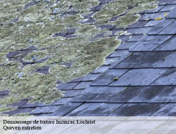 Demoussage de toiture  inzinzac-lochrist-56650 Queven entretien