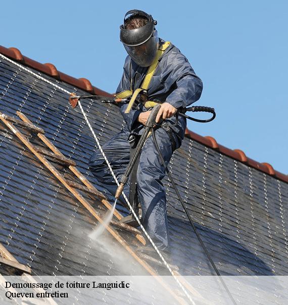 Demoussage de toiture-10