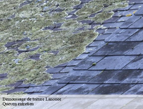 Demoussage de toiture  lanouee-56120 Queven entretien