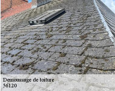 Demoussage de toiture-2