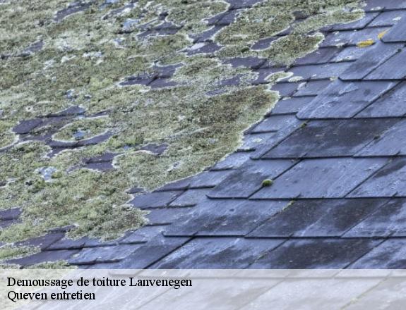 Demoussage de toiture  lanvenegen-56320 Queven entretien