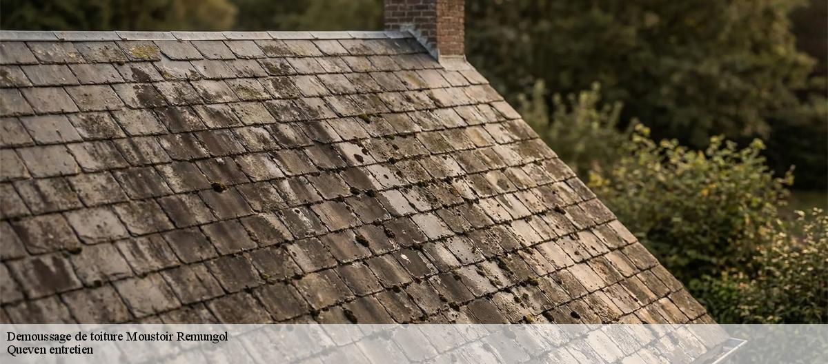 Demoussage de toiture-7