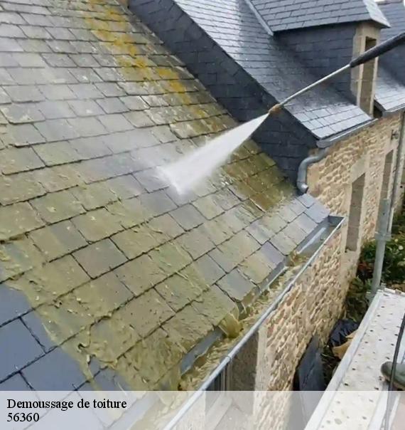 Demoussage de toiture-8