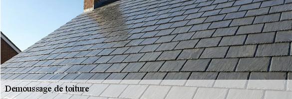 demoussage-de-toiture
