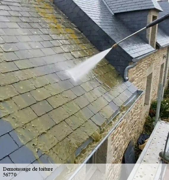 Demoussage de toiture-8