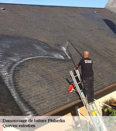 Demoussage de toiture-1