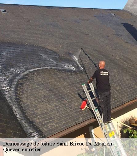 Demoussage de toiture-1
