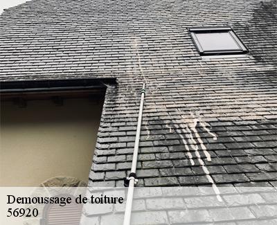 Demoussage de toiture-5