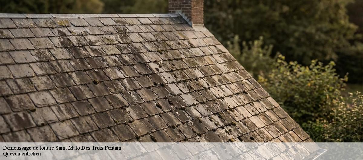 Demoussage de toiture-7