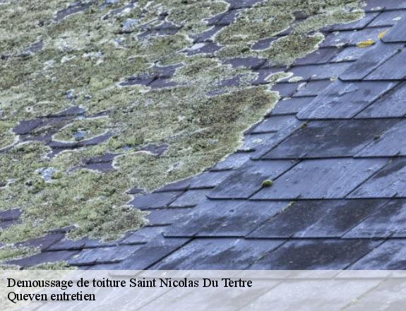 Demoussage de toiture  saint-nicolas-du-tertre-56910 Queven entretien