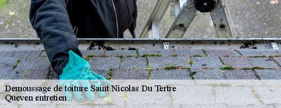 Demoussage de toiture  saint-nicolas-du-tertre-56910 Queven entretien