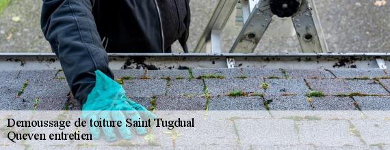 Demoussage de toiture  saint-tugdual-56540 Queven entretien