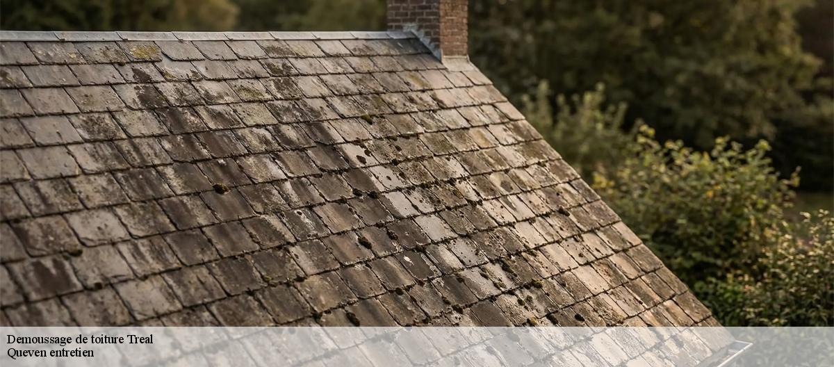 Demoussage de toiture-7