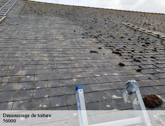 Demoussage de toiture  vannes-56000 Queven entretien