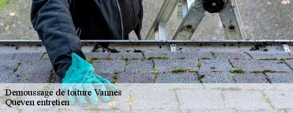 Demoussage de toiture  vannes-56000 Queven entretien