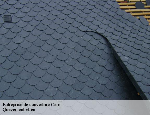 Entreprise de couverture  caro-56140 Queven entretien