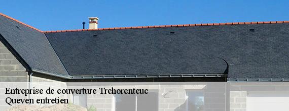 Entreprise de couverture  trehorenteuc-56430 Queven entretien