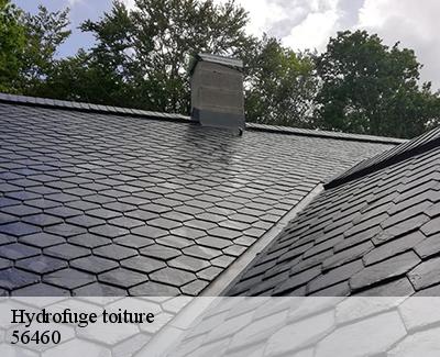 Hydrofuge toiture-5