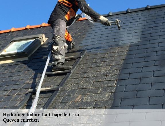 Hydrofuge toiture  la-chapelle-caro-56460 Queven entretien