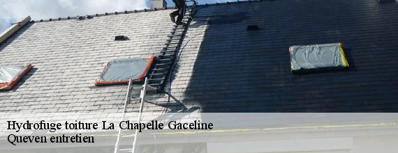 Hydrofuge toiture  la-chapelle-gaceline-56200 Queven entretien