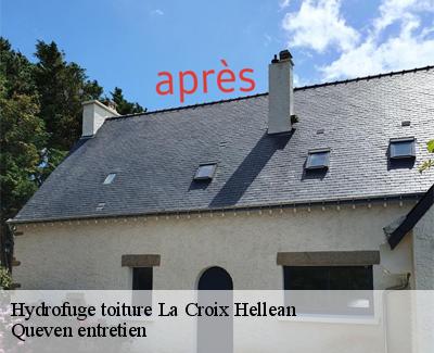 Hydrofuge toiture-4