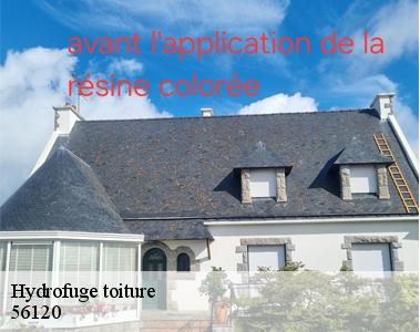 Hydrofuge toiture-2