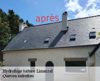 Hydrofuge toiture-4