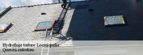 Hydrofuge toiture  locmiquelic-56570 Queven entretien