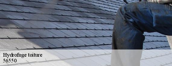 Hydrofuge toiture  locoal-mendon-56550 Queven entretien