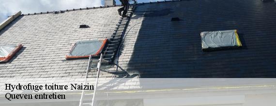 Hydrofuge toiture  naizin-56500 Queven entretien