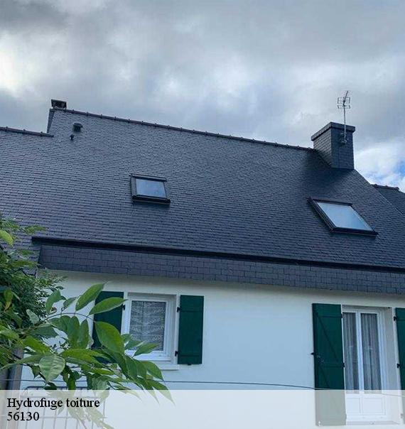 Hydrofuge toiture-8