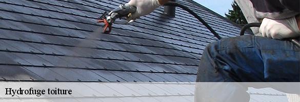 Hydrofuge toiture-6