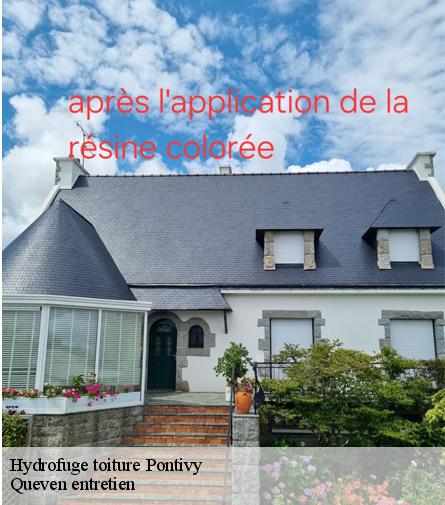 Hydrofuge toiture-1