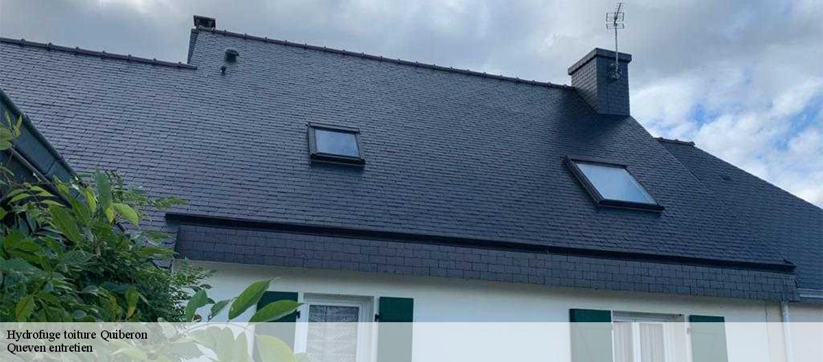Hydrofuge toiture-7