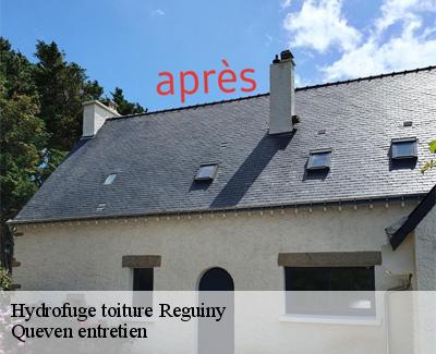 Hydrofuge toiture-4