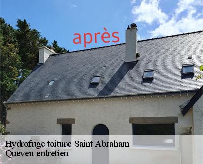 Hydrofuge toiture-4
