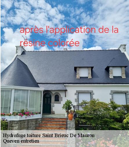 Hydrofuge toiture-1