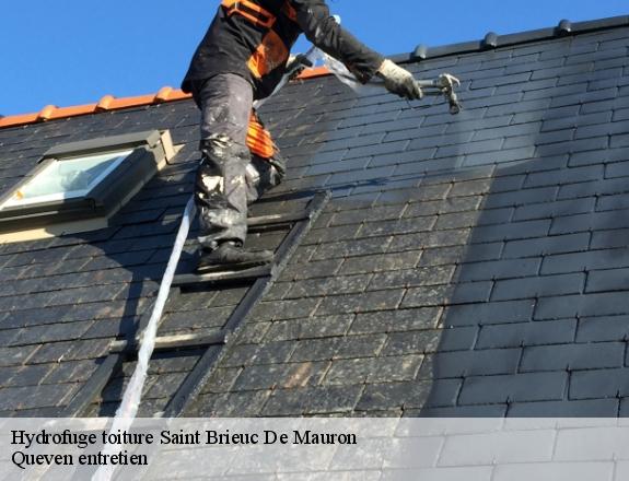 Hydrofuge toiture  saint-brieuc-de-mauron-56430 Queven entretien