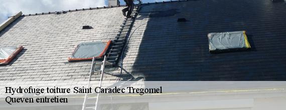 Hydrofuge toiture  saint-caradec-tregomel-56540 Queven entretien