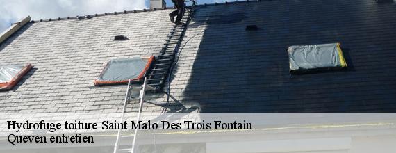 Hydrofuge toiture  saint-malo-des-trois-fontain-56490 Queven entretien