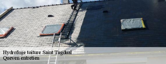 Hydrofuge toiture  saint-tugdual-56540 Queven entretien