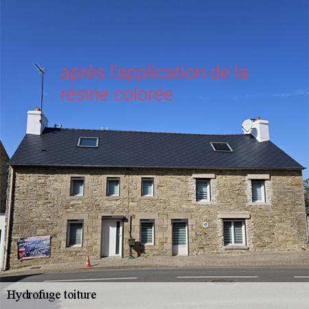 hydrofuge-toiture