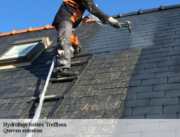 Hydrofuge toiture  trefflean-56250 Queven entretien