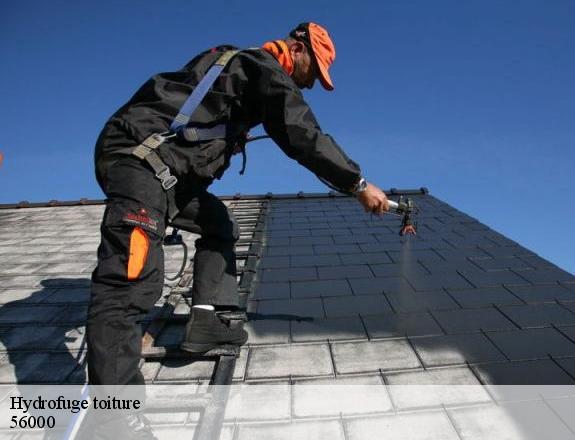 Hydrofuge toiture  vannes-56000 Queven entretien