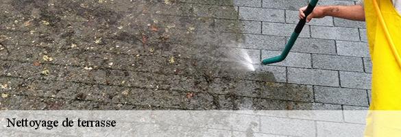 Nettoyage de terrasse-6