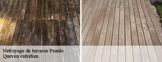 Nettoyage de terrasse  peaule-56130 Queven entretien