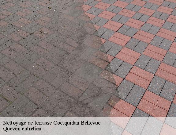 Nettoyage de terrasse  coetquidan-bellevue-56380 Queven entretien