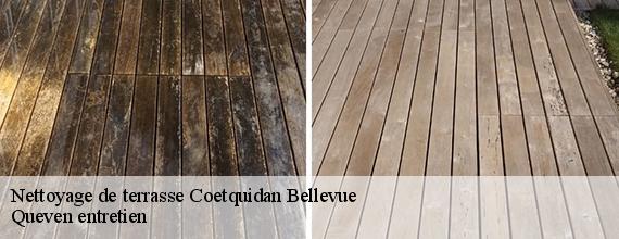Nettoyage de terrasse  coetquidan-bellevue-56380 Queven entretien
